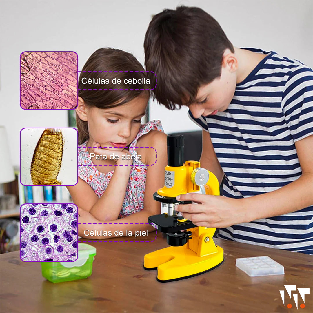 Microscopio Educativo (Kit Completo)
