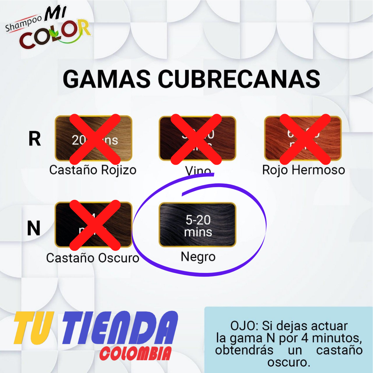 Shampoo Cubre Canas Mi Color®