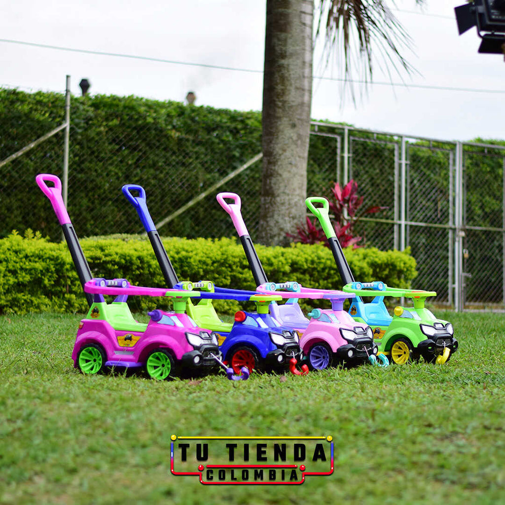 Carro Caminador Paseador y Montable (Niño o Niña)