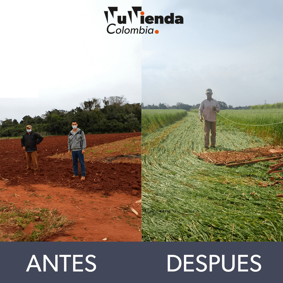 Medidor de parámetros del suelo
