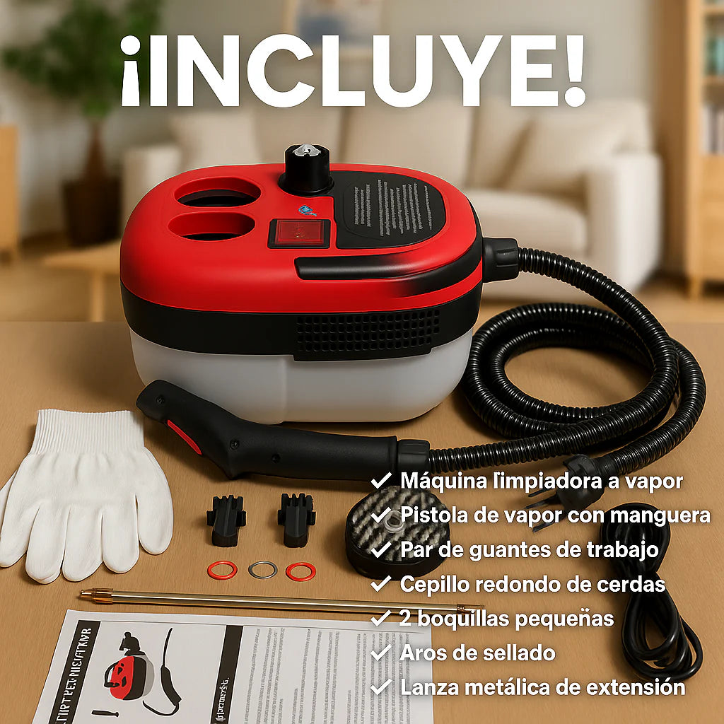 Máquina limpiadora de vapor