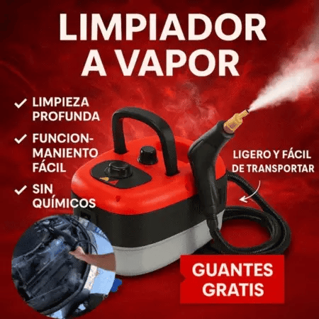 Máquina limpiadora de vapor