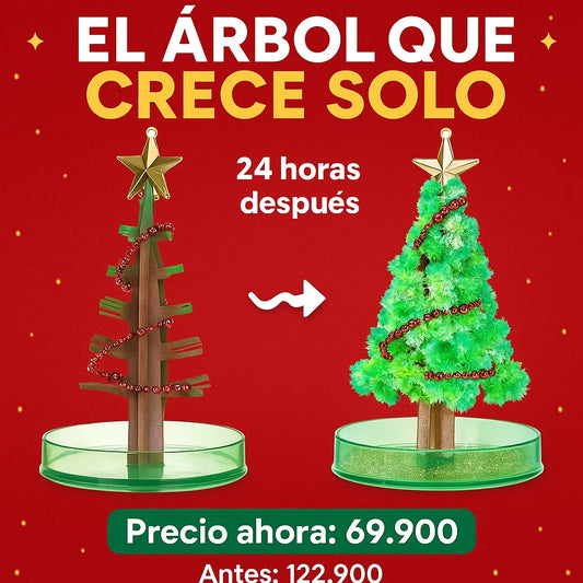 2 Árboles de Navidad mágicos [Crecen Solos]