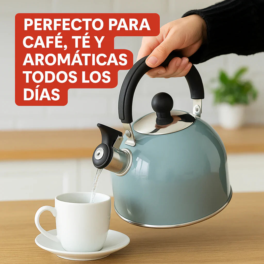 hervidor de agua con silbato de acero inoxidable